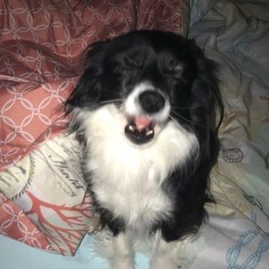 Meet your Posher, Dana